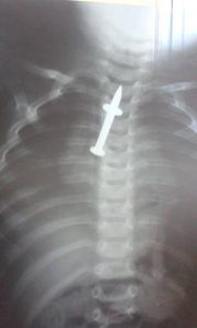 13514506_1035792736457865_1295783238_n