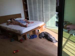 f183503e35.images.new_photo.axali_fotos.mosaics.tina