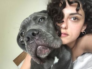 13659167_1446012868757936_7104327589755322082_n