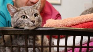 13672367_10206478517953350_257105360_n