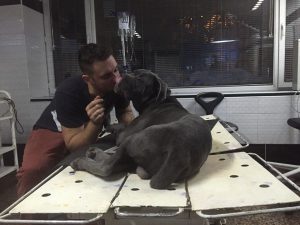 13726573_1446013012091255_4883280241224060323_n