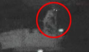 13932785_811865845617478_2879096101541308910_n