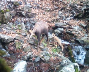 13932946_1028752990555817_7948540237532348098_n