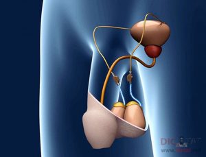 14112028_1077043652332773_832882429_n