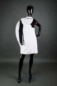 14182344_1079537192083419_657865000_n