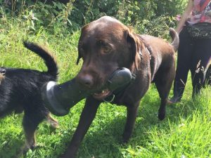 901991d457aa0e878a86eee88f2487e2