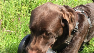 fb2f702357aa2c388a86c0ad8665e553