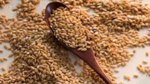 14446418_1392946317383966_710533498_o