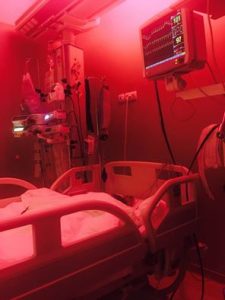 14516508_1178071522231869_3050337470978970198_n-1