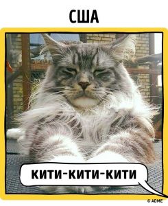 12763415-1-1470318889-650-f2b32b7245-1-1470379558