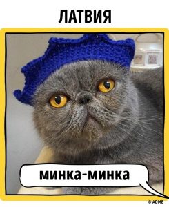 12763465-12-1470319183-650-49648d7a2f-1-1470379558