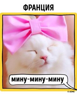 12763515-14-1470319224-650-8bf6064be5-1-1470379558