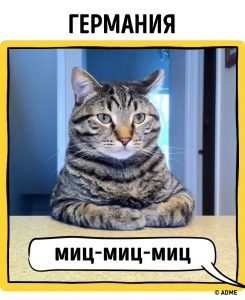 12763615-8-1470319080-650-fea0ab8c83-1-1470379558