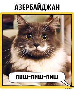 12763765-5-1470318991-650-3ca9f13fca-1-1470379558