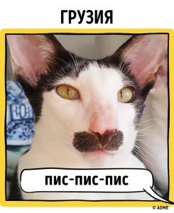 12763915-2-1470318922-650-cb2fd503fb-1-1470379558