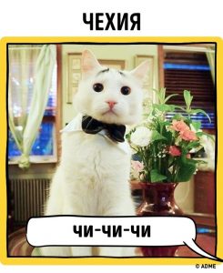 12764015-16-1470319273-650-5eaf130863-1-1470379558