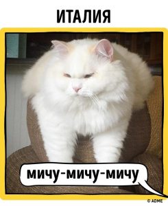 12764215-11-1470319147-650-20676f8684-1-1470379558