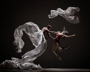 13254107_1150901921597965_4910062967532214656_n