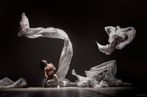 13256548_1150902228264601_4270714200912769169_n