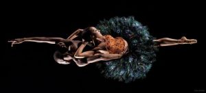 13315613_1150902101597947_5910330445246761878_n