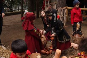 14483646_1805469526335065_1742234836_n