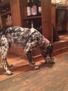 14729164_10209230217326502_4339499987095638708_n