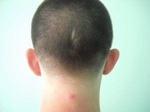 14741822_1404533689576826_1298420142_n