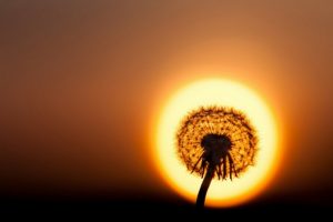 206355-12508210-r3l8t8d-990-15-1000-c4c8646959-1471426929