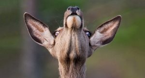 6501460-800-1455188638-2