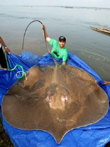 %d1%81%d0%ba%d0%b0%d1%82