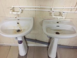 14915074_10207186375209339_508617778_n