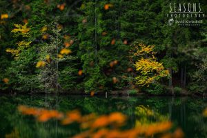 14991120_1169547696469834_2300443623813957890_o