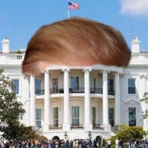 15050371_1217011388342738_510179658_n