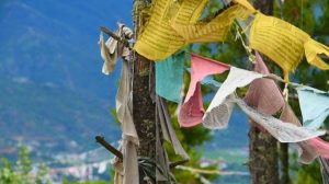 cassiemos4_111116051732