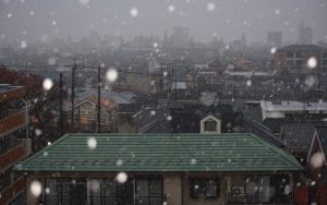 eight_col_000_id9ji_1479965859