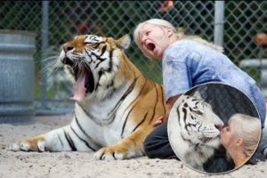 15401318_1378606885496539_122614759_n