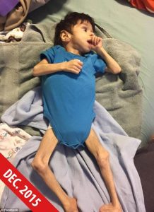 more_img-1481111769167346