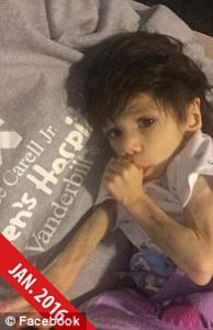 more_img-1481111769323987