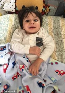 more_img-1481111794745285