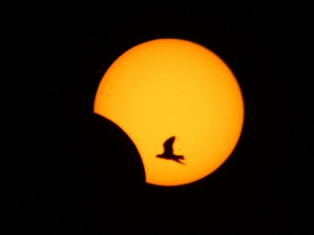 The_last_solar_eclipse_of-880991e77a340eebba489038ce161770