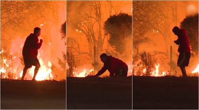 california-wilfire-rabbit-video-nbc-news-759