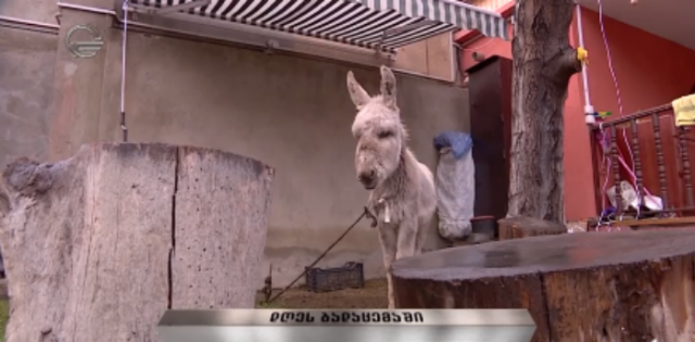 Безымянный