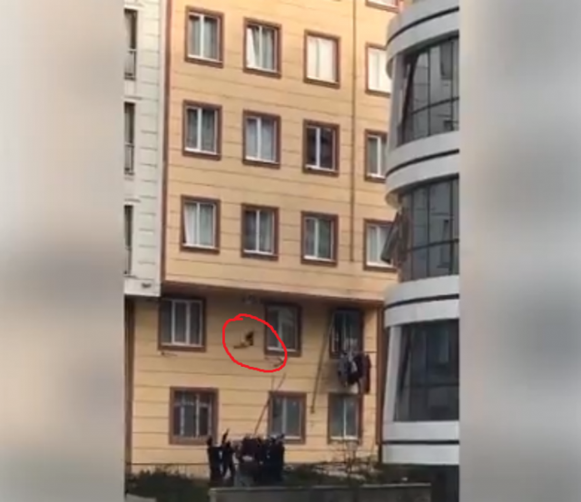 Безымянный