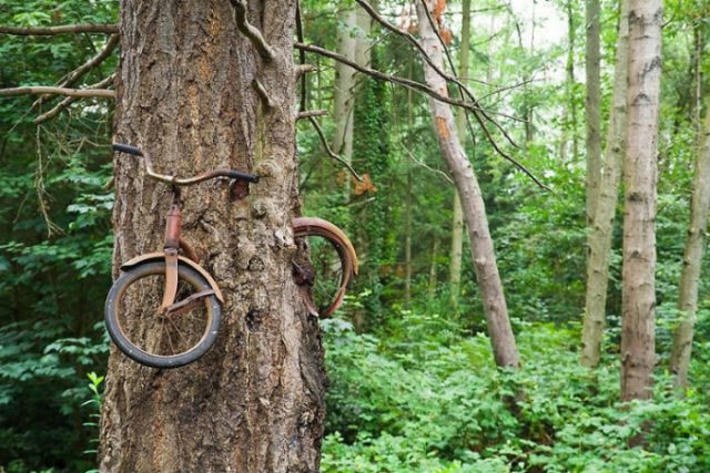 velo