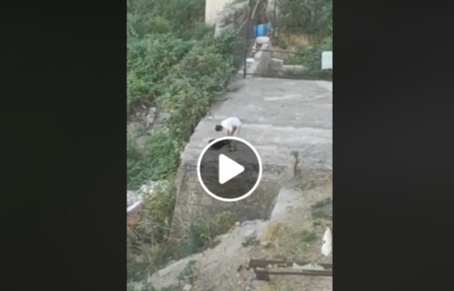 ზაგ
