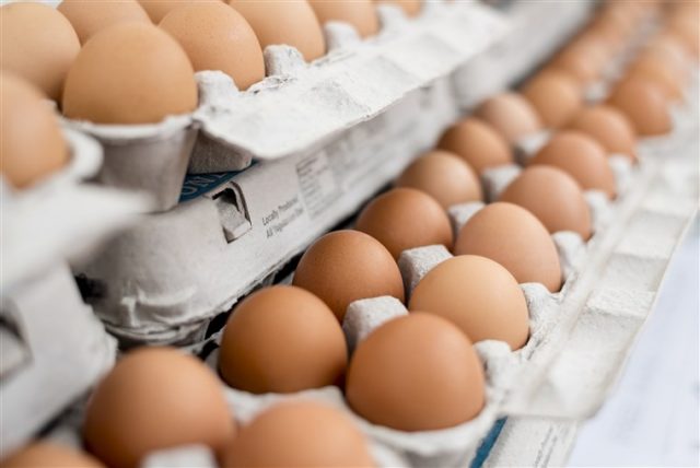 180514-eggs-al-0913_9e987de0a5d16e07a0cbb99f3255415b.fit-760w