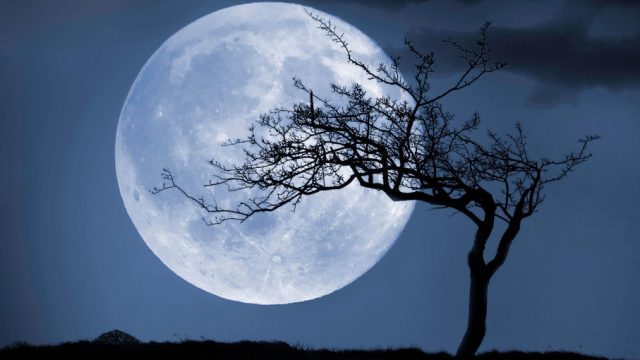 moon-names