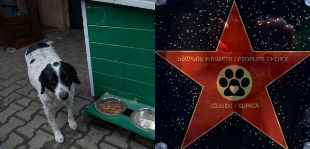 новый-коллаж-2-700x336