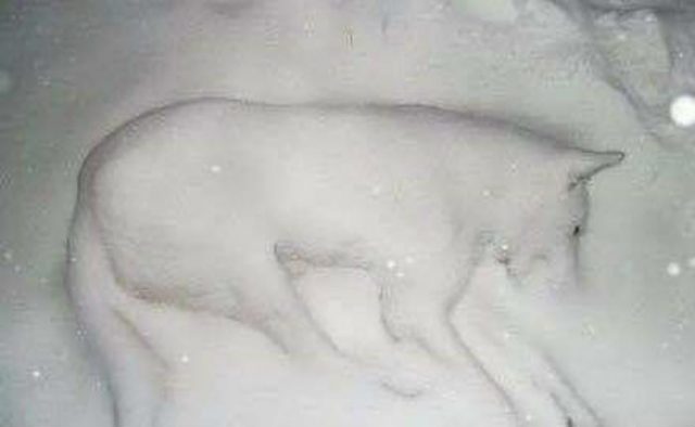 ზაგ